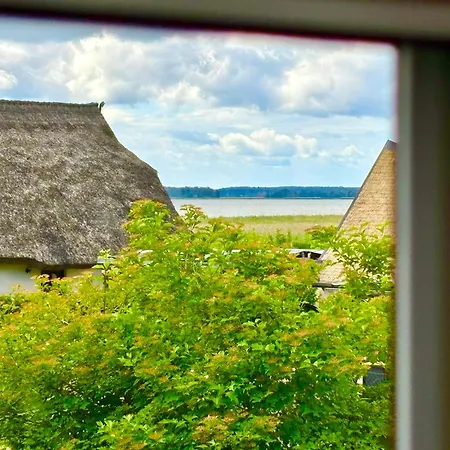 Ostsee-nest Am Wasser Kleines Ferienhaeuschen Am Achterwasser, 800m 젤핀