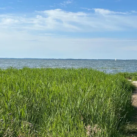 Ostsee-nest Am Wasser Kleines Ferienhaeuschen Am Achterwasser, 800m 펜션 젤핀