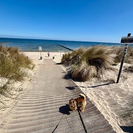 Ostsee-nest Am Wasser Kleines Ferienhaeuschen Am Achterwasser, 800m